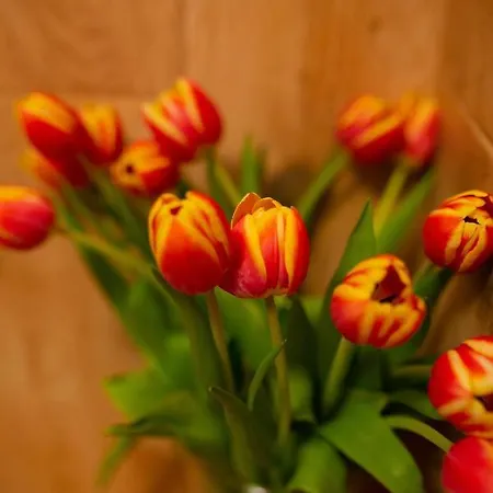 Soleil De Malta Poznań