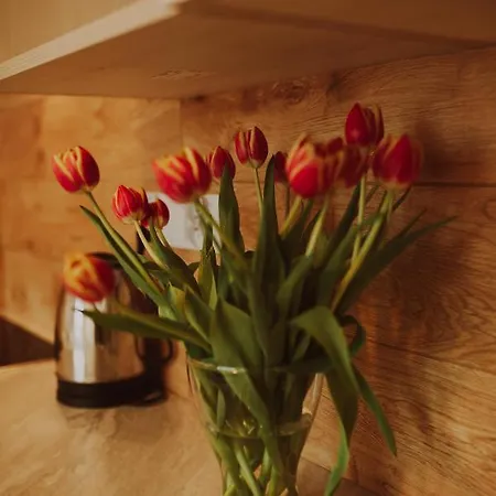 Rum i privatbostad Soleil De Malta Poznań